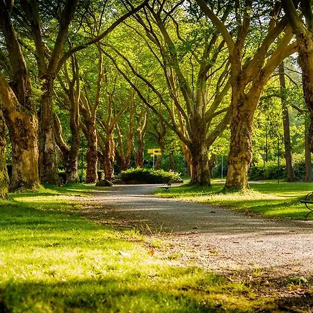 Du Golf De L'ailette, The Originals Relais מלון